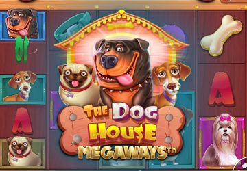 The Dog House — Dog or Alive